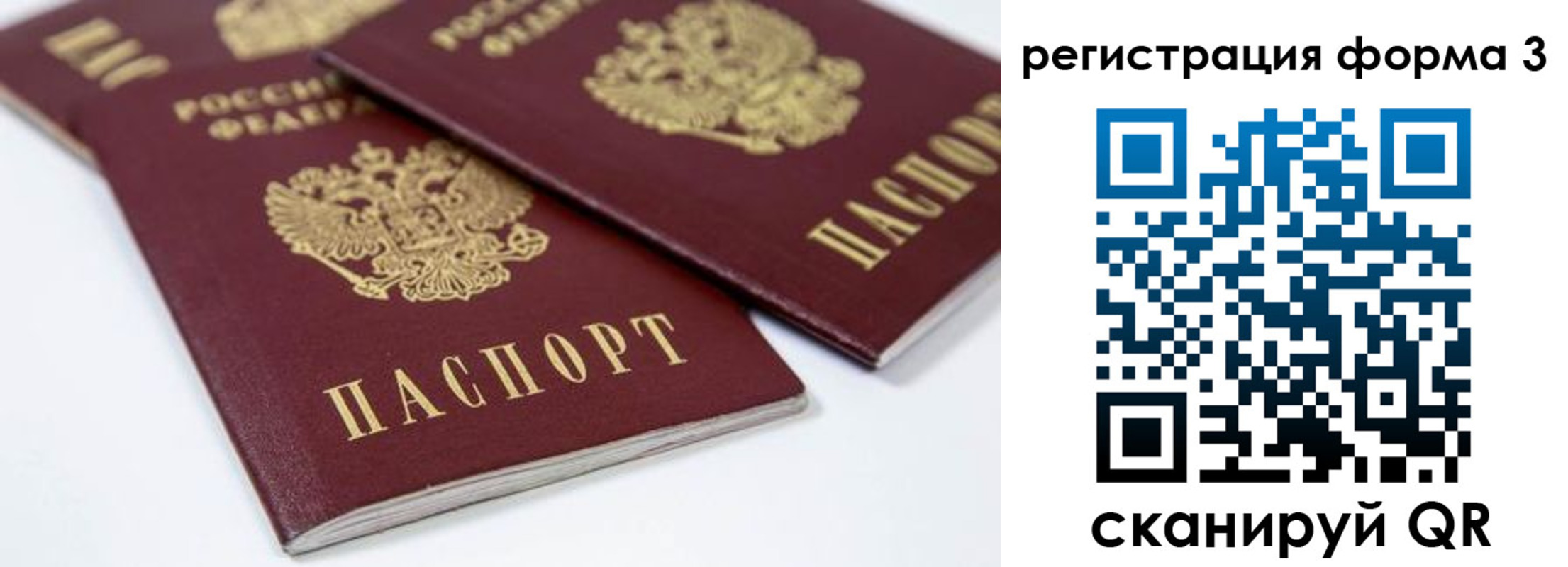 прописка иностранных граждан в Выборге